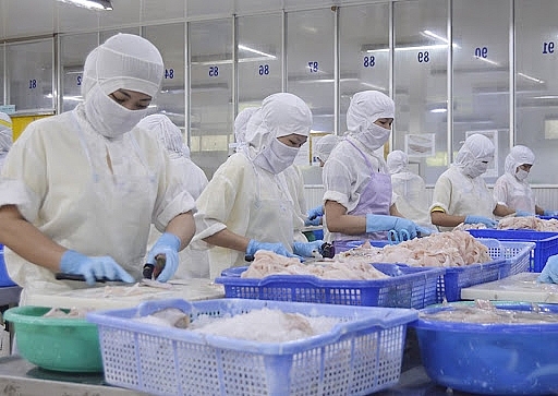 8 tháng đầu năm, kim ngạch xuất khẩu của tỉnh Kiên Giang đạt gần 510 triệu USD 8 tháng đầu năm, kim ngạch xuất khẩu của tỉnh Kiên Giang đạt gần 510 triệu USD