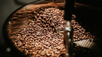 Giá cà phê hôm nay 28/8: Tiếp đà tăng
