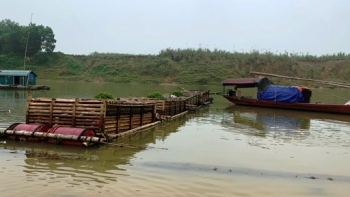 Thanh Hóa: Sản lượng thủy sản 8 tháng đầu năm ước đạt 122.649 tấn