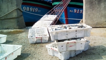 Nghệ An phê duyệt quy hoạch chi tiết 1/500 dự án Cảng thủy nội địa tổng hợp Quỳnh Lộc