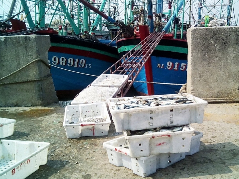 Nghệ An phê duyệt quy hoạch chi tiết 1/500 dự án Cảng thủy nội địa tổng hợp Quỳnh Lộc Nghệ An phê duyệt quy hoạch chi tiết 1/500 dự án Cảng thủy nội địa tổng hợp Quỳnh Lộc