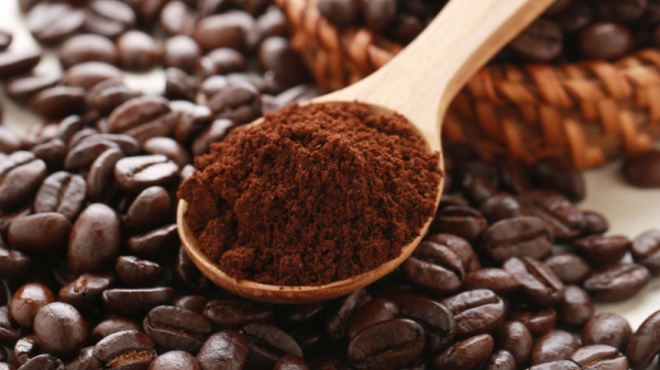 Giá cà phê hôm nay 30/8: Cao nhất đạt 40.100 đồng/kg