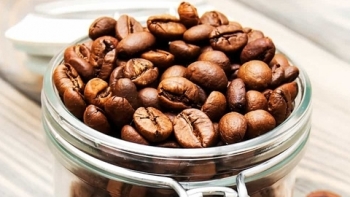 Giá cà phê hôm nay 31/8: Tăng nhẹ