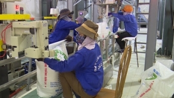 Chỉ số sản xuất công nghiệp tháng 8 của Sơn La giảm 21,7%