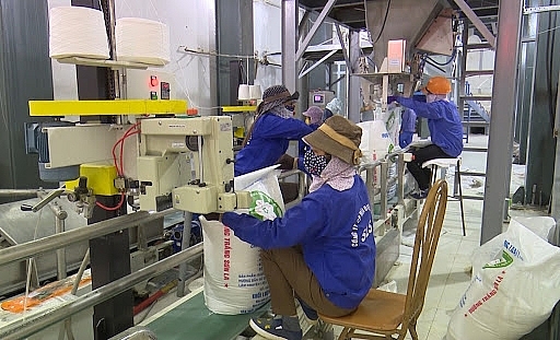 Chỉ số sản xuất công nghiệp tháng 8 của Sơn La giảm 21,7% Chỉ số sản xuất công nghiệp tháng 8 của Sơn La giảm 21,7%