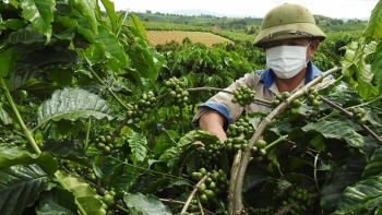 Kon Tum đề ra 06 giải pháp phát triển kinh tế tập thể năm 2022