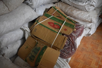 Tuyên Quang: Bắt lô nguyên liệu thuốc đông y nhập lậu lớn nhất từ trước đến nay