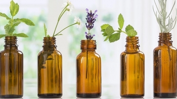 Sức khỏe: 8 loại tinh dầu giúp đuổi muỗi hiệu quả