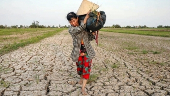 Phòng chống hạn mặn và quản lý cấp mã số vùng trồng cây ăn quả ở Đồng bằng sông Cửu Long