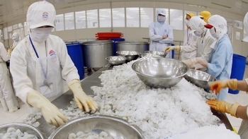 Kiên Giang: Phấn đấu kim ngạch xuất khẩu Qúy IV đạt 146 triệu USD