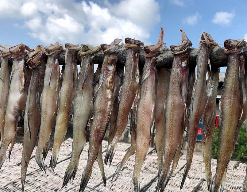 Nghề làm khô cá khoai ở làng cá Cái Đôi Vàm, huyện Phú Tân được hình thành từ rất lâu đời và trở thành nét đặc trưng của vùng quê biển 