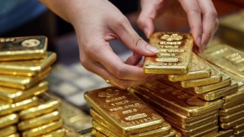 Cập nhật giá vàng hôm nay 23/9: Tiếp tục giảm mạnh ở phiên chiều