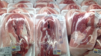 Giá thịt lợn hôm nay 24/9: Tiếp tục ổn định