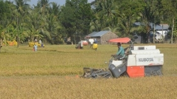 Đồng Tháp: Thúc đẩy xuất khẩu gạo trong bối cảnh dịch Covid-19