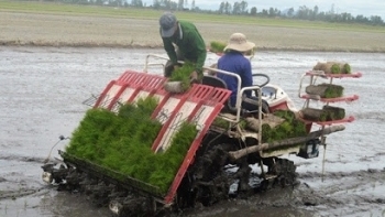 Dự án VnSAT phát huy hiệu quả tại Kiên Giang