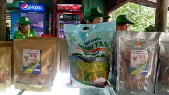 Triển vọng từ chương trình 'Mỗi xã một sản phẩm' ở Cà Mau