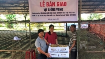 Đồng Nai: Triển khai mô hình chăn nuôi vịt siêu thịt an toàn, hiệu quả