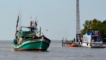 Cà Mau: Hơn 83% tàu cá đã lắp đặt thiết bị giám sát hành trình