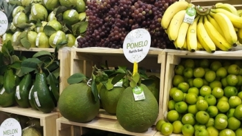 Hội nghị giao thương trực tuyến rau, củ, quả Việt Nam - Hà Lan 2020