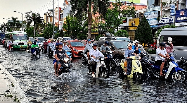 Cà Mau rà soát, khắc phục thiệt hại do mưa lớn gây ra