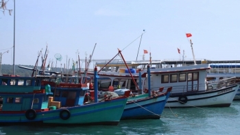Kiên Giang: Công bố mở Cảng cá An Thới và Cảng cá Tắc Cậu
