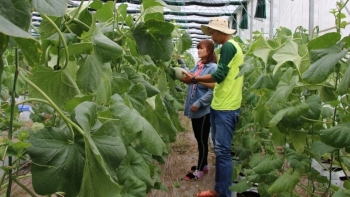 Đồng Tháp: Giá trị sản xuất ngành nông nghiệp 9 tháng đạt gần 35.000 tỷ đồng