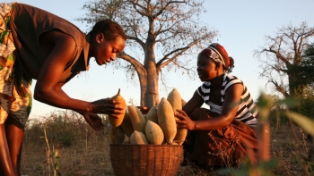 Xúc tiến thương mại sang thị trường Trung Đông - Châu Phi