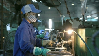 Đồng Tháp: Có 4.100 doanh nghiệp đang hoạt động