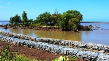 Cà Mau: Thiệt hại gần 30 tỷ đồng do thiên tai