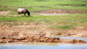 Nghệ An: Nguy cơ thiếu nước dù đã bước vào mùa mưa