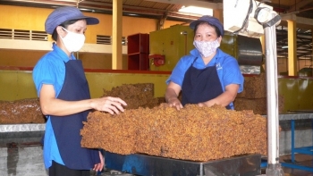 9 tháng, xuất khẩu cao su ước đạt 1,45 tỷ USD