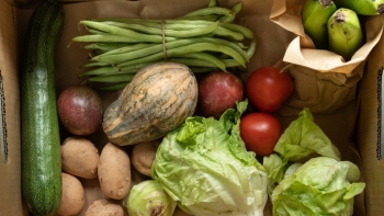 Giá rau củ quả hôm nay 5/10: Đầu tuần các siêu thị tăng cường khuyến mãi