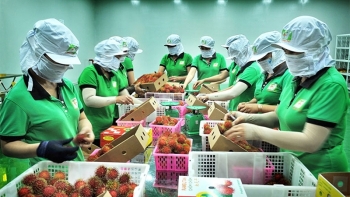 Xuất khẩu hàng hóa sang EU tăng mạnh