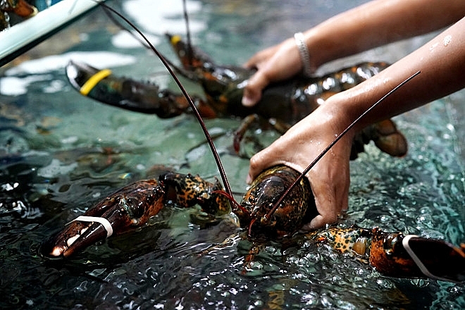 VASEP dự báo xuất khẩu thủy sản quý IV/2020 đạt 2,3 tỷ USD VASEP dự báo xuất khẩu thủy sản quý IV/2020 đạt 2,3 tỷ USD