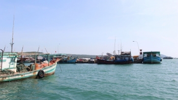 Kiên Giang: Thanh tra đột xuất tàu đánh bắt, vận chuyển thủy sản