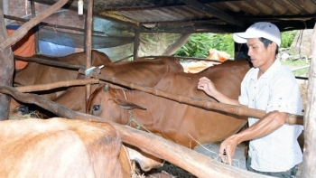 Kiên Giang: Quyết tâm thực hiện mục tiêu giảm nghèo bền vững