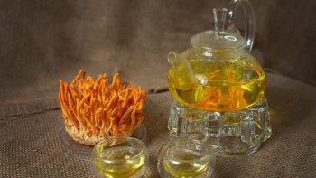 Thuốc Đông y: Trà đông trùng hạ thảo - thức uống 'vàng' cho sức khỏe