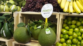 Xuất khẩu rau quả 9 tháng đầu năm thu đạt 2,5 tỷ USD