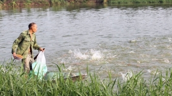 Bắc Ninh: Đảm bảo an toàn dịch bệnh cho động vật trên cạn và thủy sản