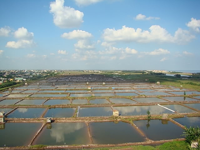 Ninh Bình sản lượng thuỷ sản 9 tháng ước đạt trên 44,1 nghìn tấn