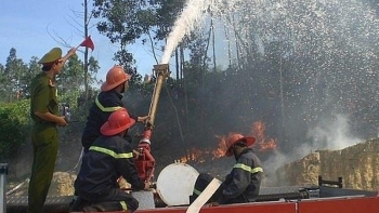 Hà Nội: Tăng cường công tác phòng cháy, chữa cháy rừng