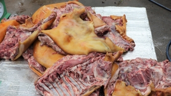 Đắk Lắk: Chặn đứng 3 tạ thịt lợn bốc mùi hôi thối