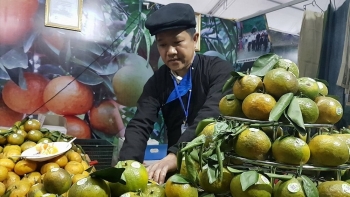 Hỗ trợ xúc tiến, kết nối tiêu thụ cam Hà Giang tại thị trường Hà Nội