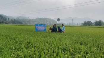 Hà Giang: Bảo vệ môi trường, tiết kiệm lượng nước tưới trong sản xuất nông nghiệp