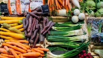 Giá rau củ quả hôm nay 12/10: Đầu tuần, đa dạng ưu đãi