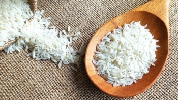 Cập nhật giá gạo hôm nay 12/10: Ổn định vào đầu tuần