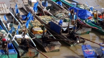 Cà Mau: Tăng cường ngăn chặn sử dụng xung điện và ngư cụ cấm để khai thác thủy sản