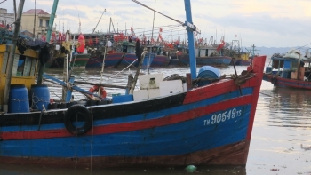 Hải Phòng: Thêm cảng cá có đủ hệ thống xác nhận nguồn gốc thủy sản từ khai thác