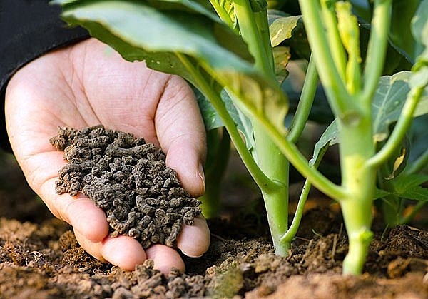 An Giang siết chặt quản lý phân bón, thuốc bảo vệ thực vật