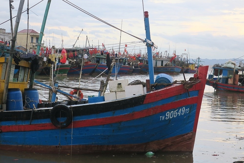 Hải Phòng có thêm cảng cá có đủ hệ thống xác nhận nguồn gốc thủy sản từ khai thác